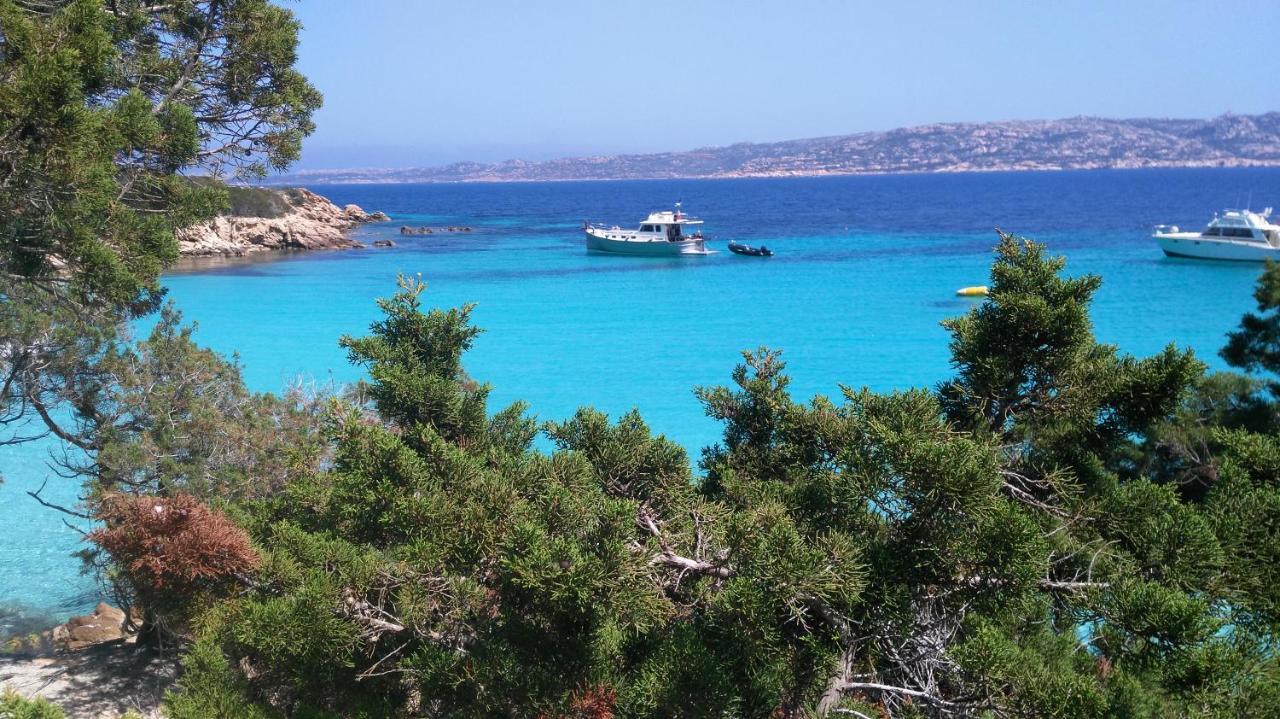 B&B Domus De Janas Santa Teresa Gallura Dış mekan fotoğraf