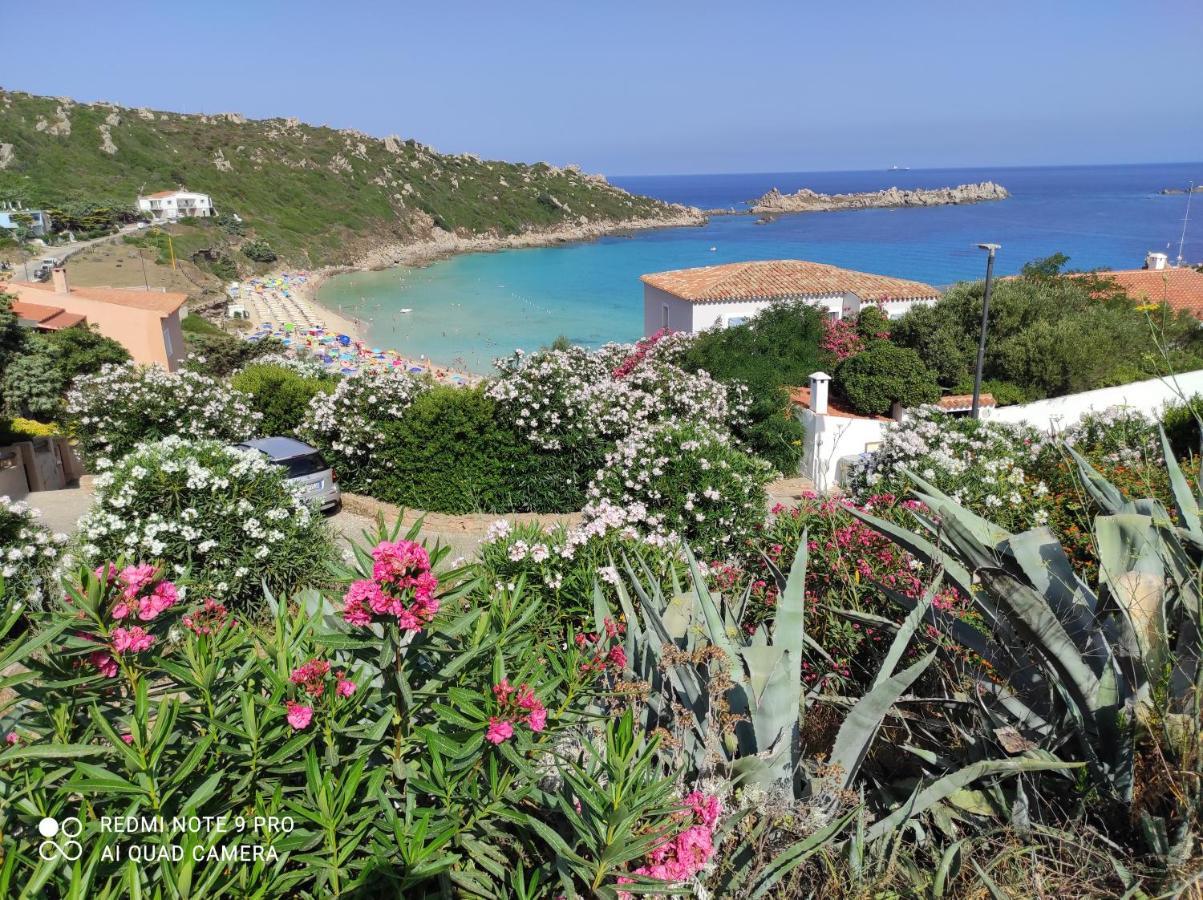 B&B Domus De Janas Santa Teresa Gallura Dış mekan fotoğraf
