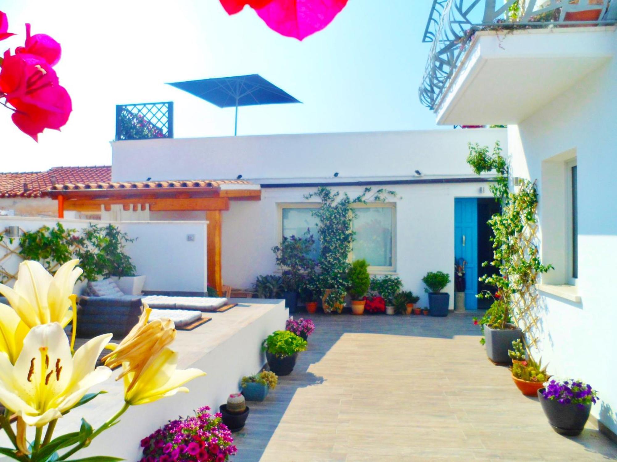 B&B Domus De Janas Santa Teresa Gallura Dış mekan fotoğraf