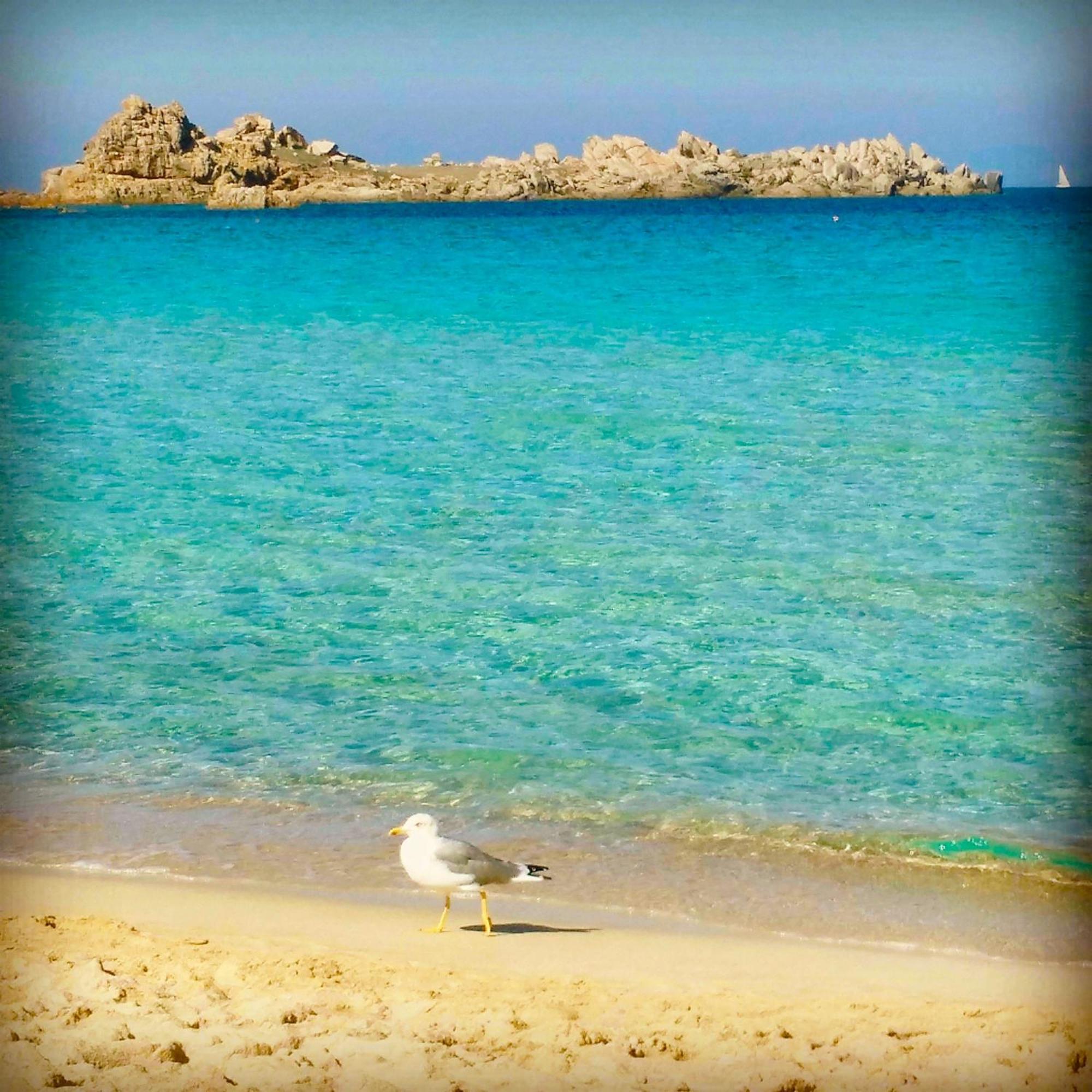 B&B Domus De Janas Santa Teresa Gallura Dış mekan fotoğraf