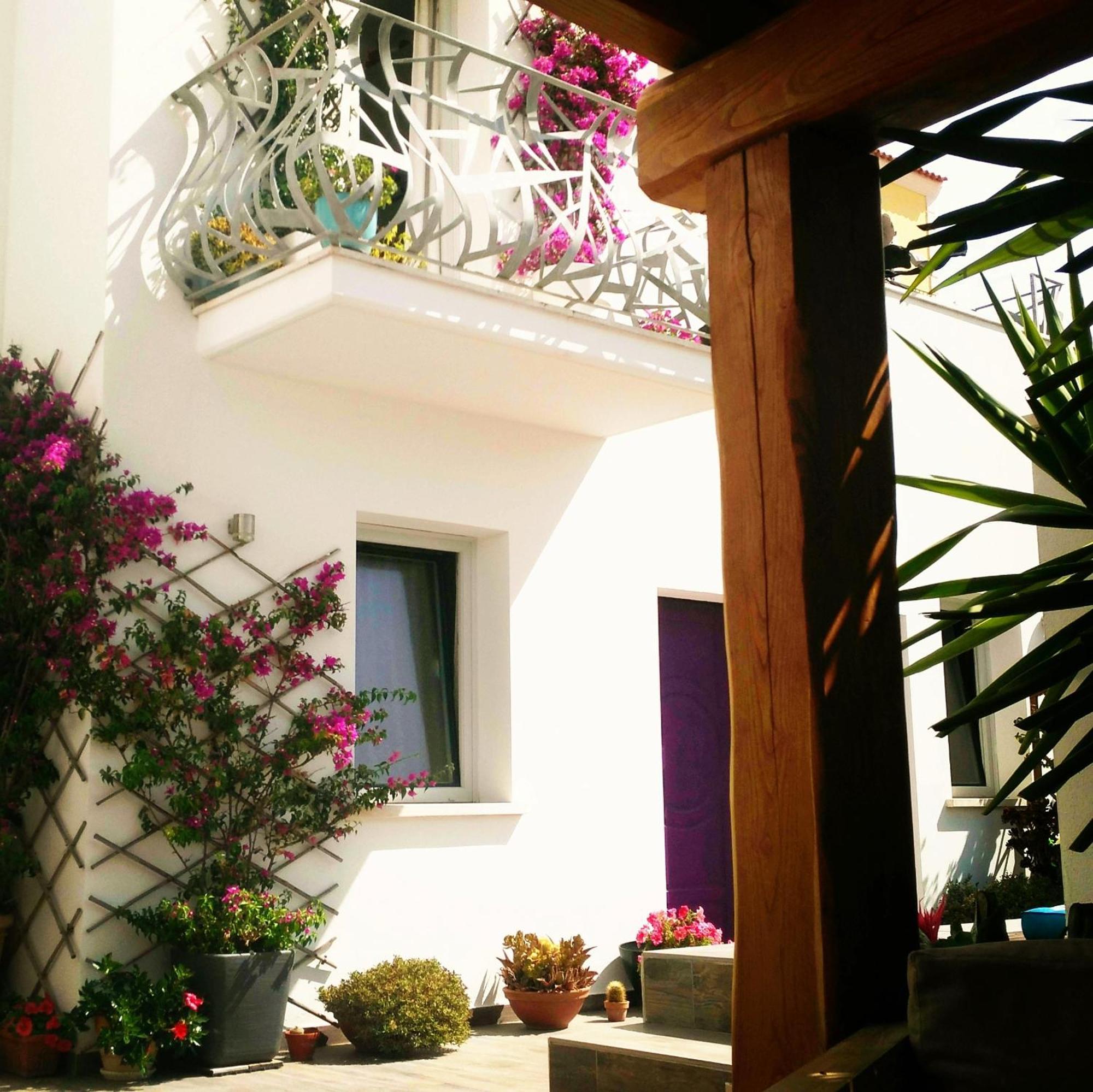 B&B Domus De Janas Santa Teresa Gallura Dış mekan fotoğraf