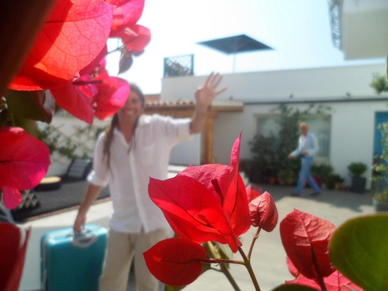 B&B Domus De Janas Santa Teresa Gallura Dış mekan fotoğraf